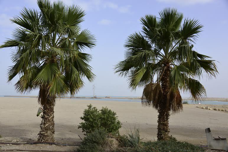 Rose Dead Sea Neve Zohar Hotel Bilik gambar