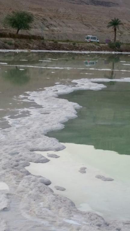 Rose Dead Sea Neve Zohar Hotel Luaran gambar